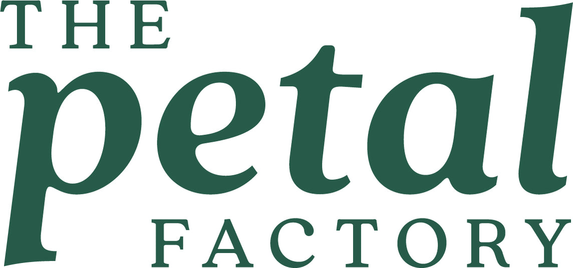 Baby Honey Bunny Girl Mustard The Petal Factory