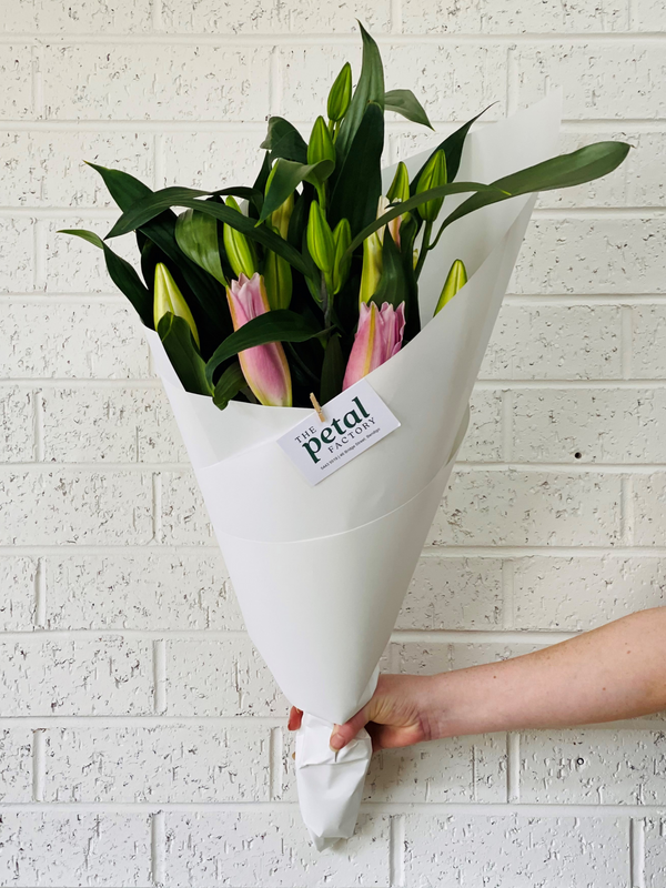 Bendigo Florist Flower Delivery - Simply Wrapped Pink Lilies