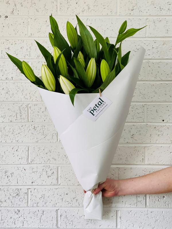 Bendigo Florist Flower Delivery - Simply Wrapped White Lilies